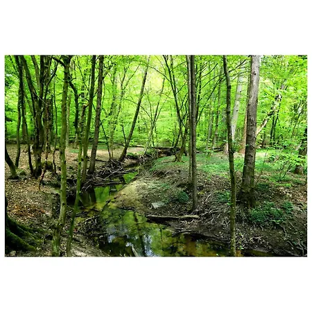 Zeer Ruim 6-persoons Met Overdekte Veranda *