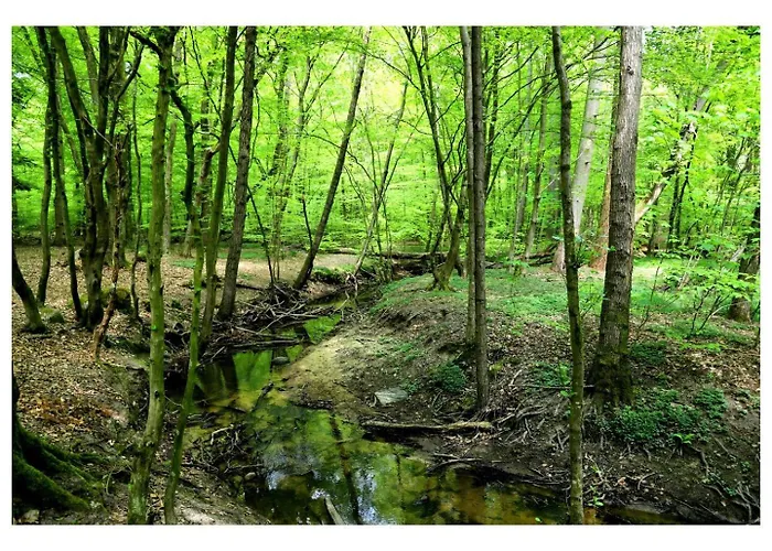 Zeer Ruim 6-persoons Met Overdekte Veranda *