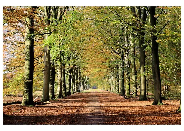 Zeer Ruim 6-persoons Met Overdekte Veranda Semesterbostad Epe