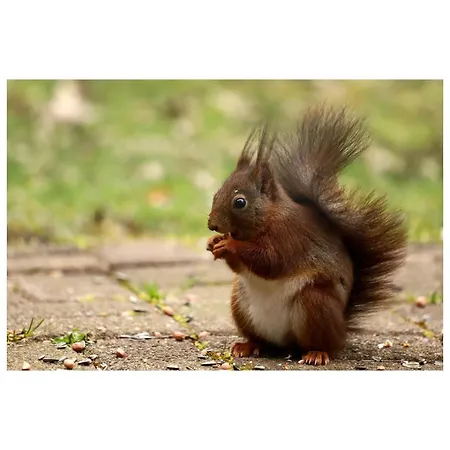 Zeer Ruim 6-persoons Met Overdekte Veranda 度假居 伊皮