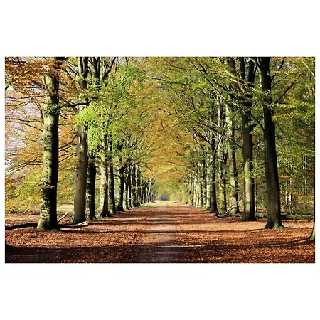 Zeer Ruim 6-persoons Met Overdekte Veranda 度假居 伊皮