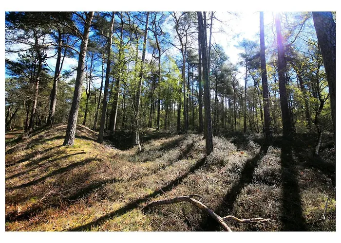 Zeer Ruim 6-persoons Met Overdekte Veranda *